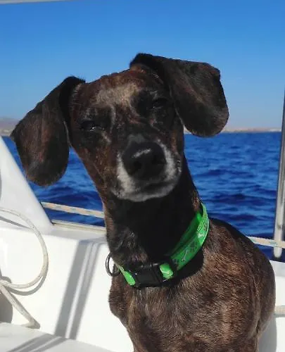 בית נופש Castillo Mar 95 *