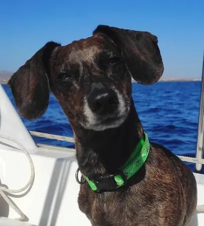 Hébergement de vacances Castillo Mar 95 *